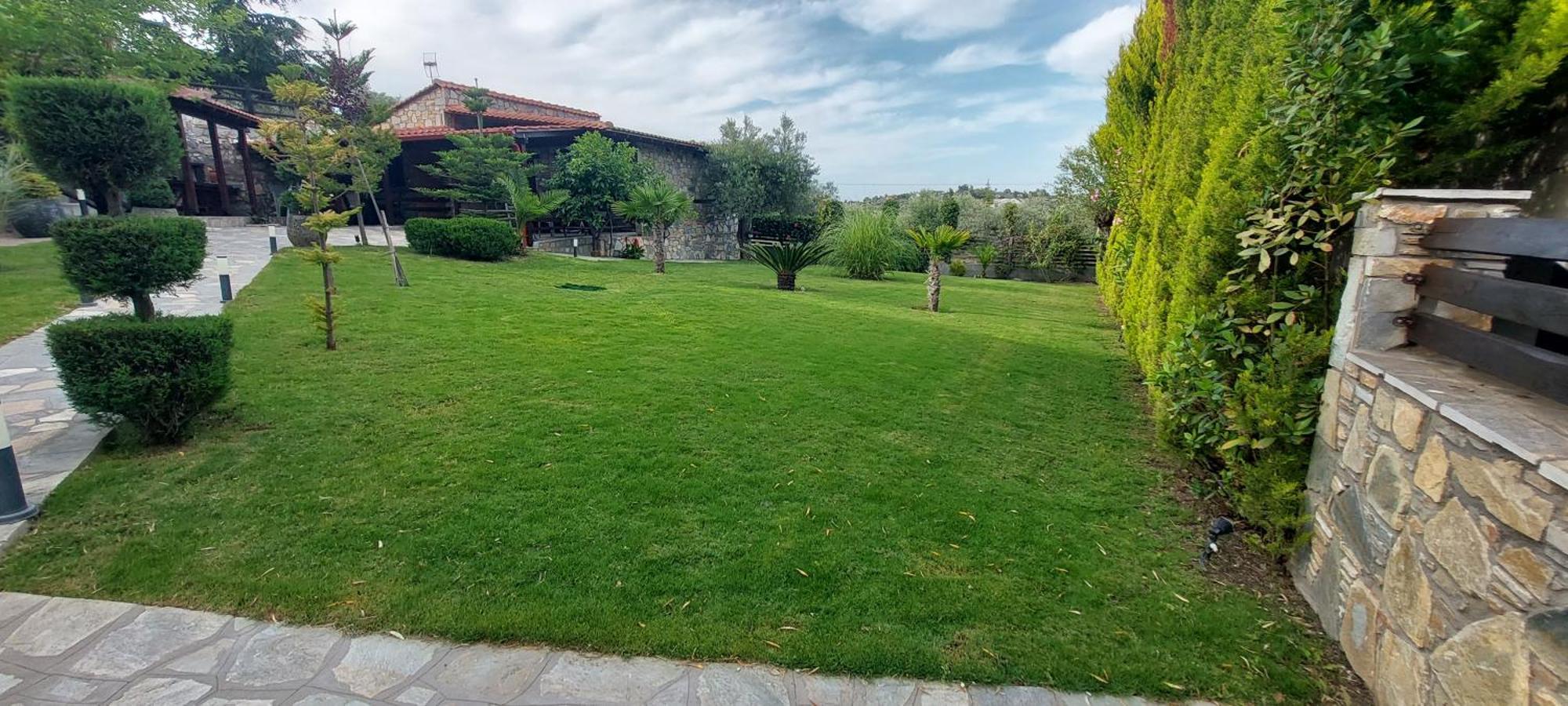 Dimitris' Villas - Villa 1 Ormos Panagias Eksteriør billede